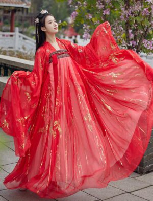 【 红云鹤 】Hot-Stamped Patterned Tang Dynasty Hanfu Jacket With Big Sleeves And A Flounced