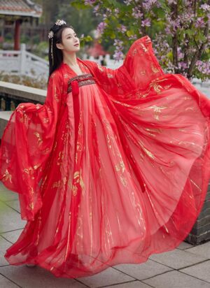 【 红云鹤 】Hot-Stamped Patterned Tang Dynasty Hanfu Jacket With Big Sleeves And A Flounced