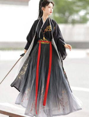 【 惊鸿 】Wuxia Style Song System Hanfu National Style Daily Waisted Modified Ancient Costume