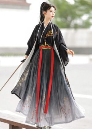 【 惊鸿 】Wuxia Style Song System Hanfu National Style Daily Waisted Modified Ancient Costume